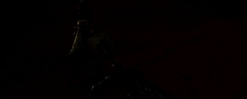 《怪物猎人：荒野》游戏画面