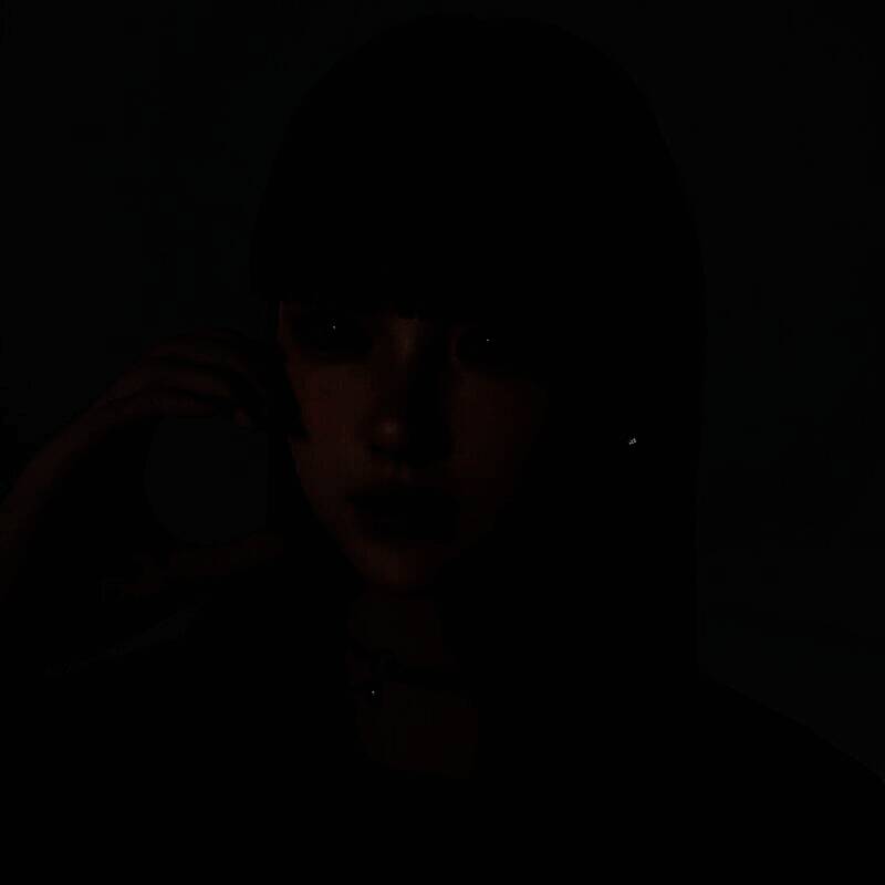 inZOI捏脸使用教程图1