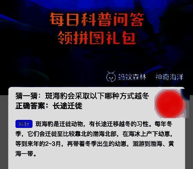 斑海豹相关图片2