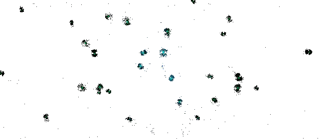 调试英雄游戏变量操控动图