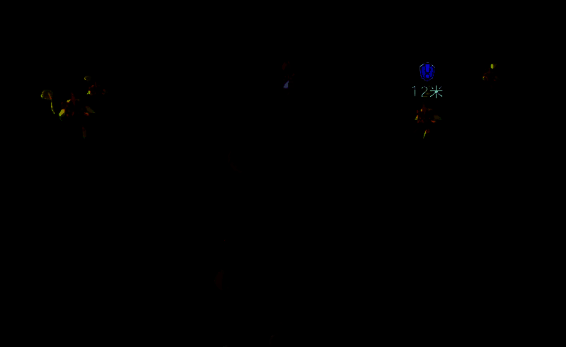 星光狮相关图片4