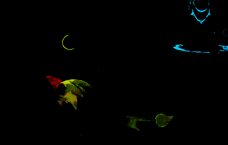 星光狮相关图片6