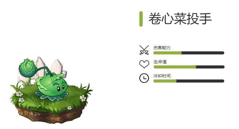 卷心菜投手图片