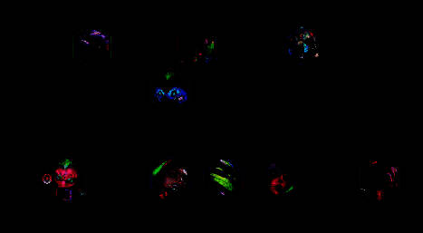 阵容站位示意图