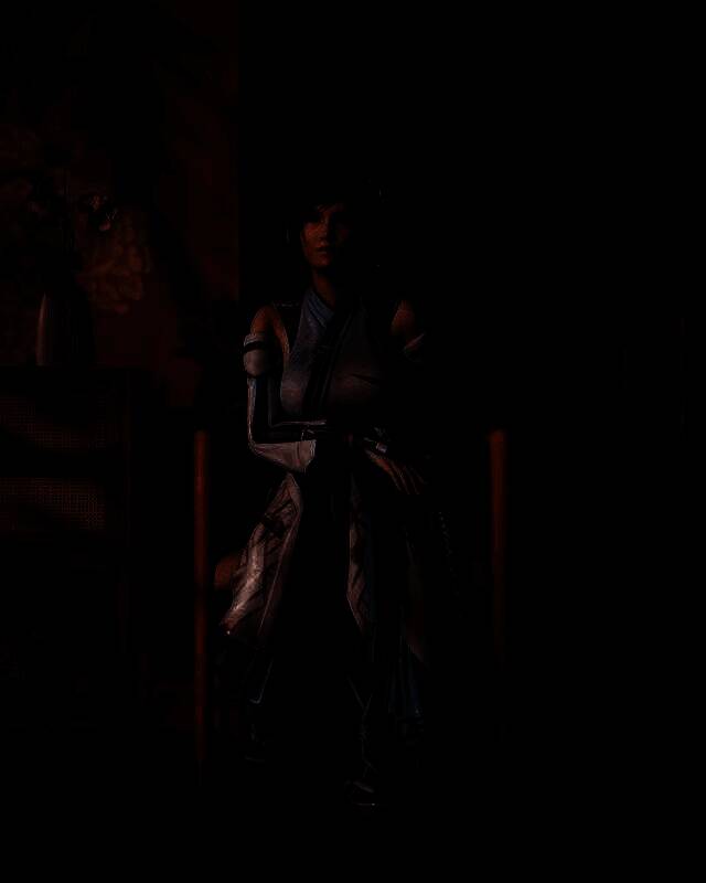 《最终幻想7》蒂法和爱丽丝3D图3