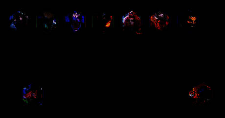 金铲铲之战S14重装亚飞阵容站位图片