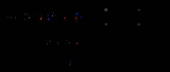 金铲铲之战S14重装亚飞阵容前期运营图片1