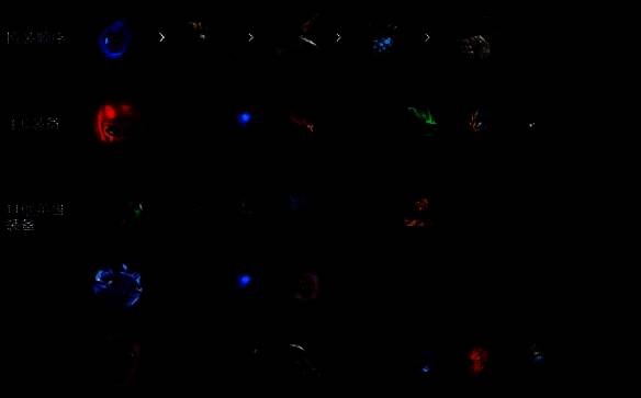 《金铲铲之战》S14 超频安妮阵容英雄装备图片