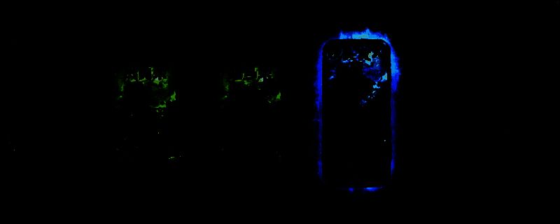 苏丹的游戏相关图片