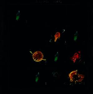 寻道大千相关图片2