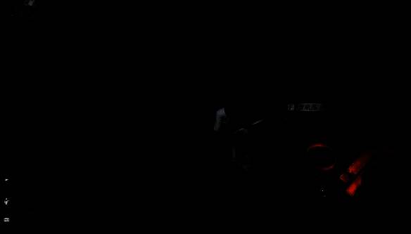 花种出后与NPC对话场景图