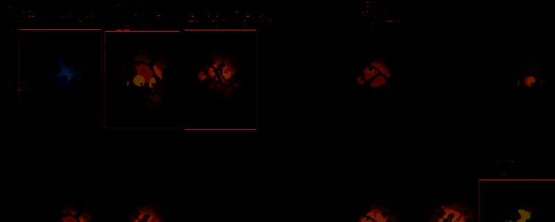 《R.E.P.O.》相关道具展示图1