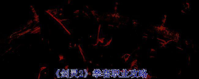 《剑灵2》拳套职业相关图片1