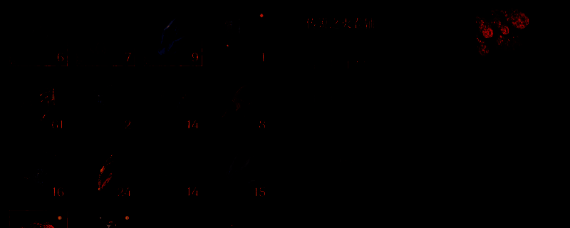 第一狂战士卡赞相关图片