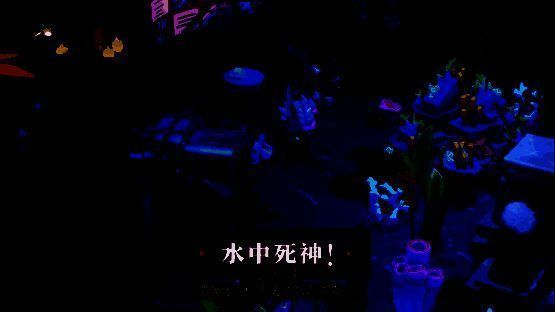 双点博物馆开箱展品图片