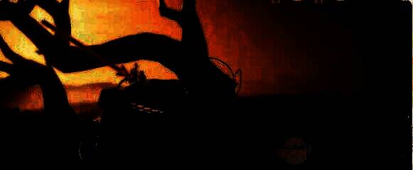 枯树处蹊跷位置图