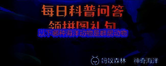 神奇海洋相关图片1