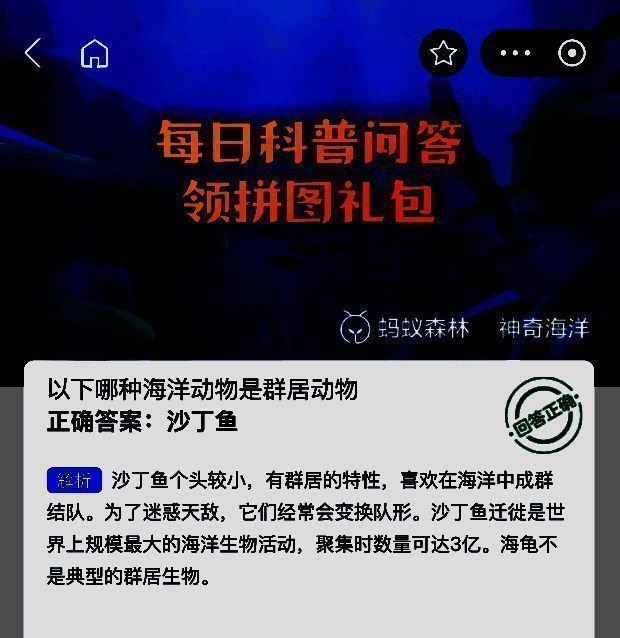神奇海洋相关图片2