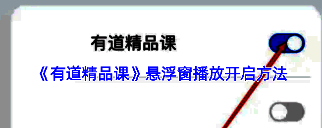 有道精品课悬浮窗设置相关界面示例图