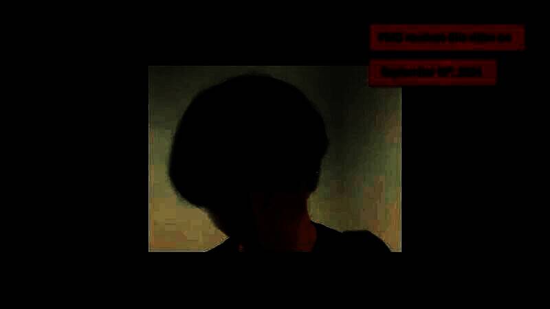 Brandoville Studios相关图片3