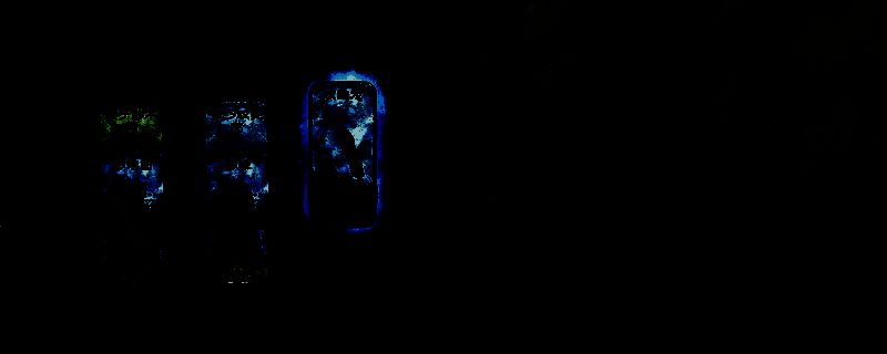 苏丹的游戏相关图片