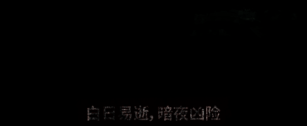 《消逝的光芒：困兽》游戏画面示例6