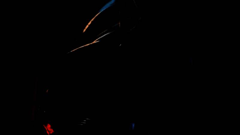 《动物朋克》视频截图6