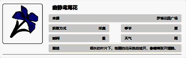 幽静鸢尾花图片