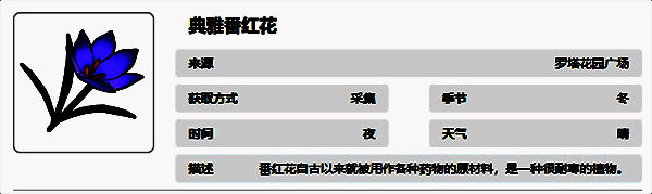 典雅番红花图片