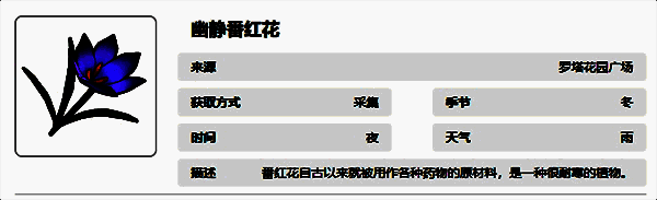 幽静番红花图片