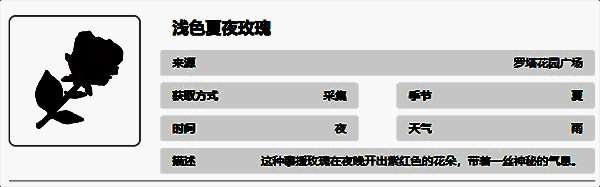 浅色夏夜玫瑰图片