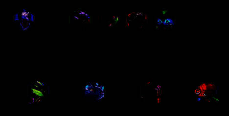 阵容站位展示图