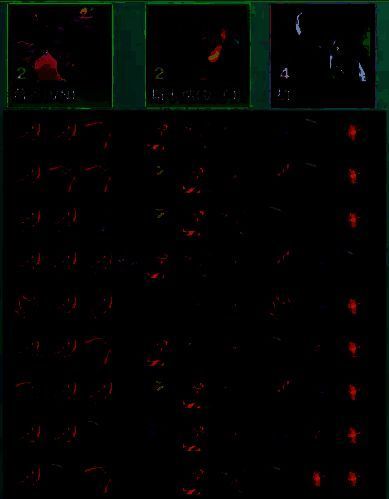 重装VN阵容装备推荐图