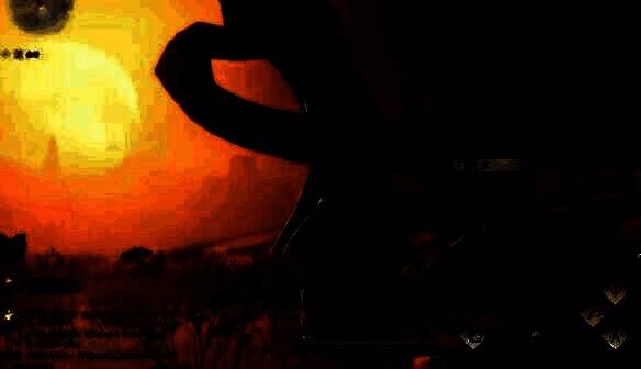 在大树下找到包裹的画面