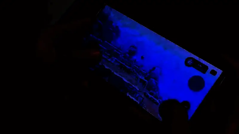 《潜水员戴夫》游戏视频截图7