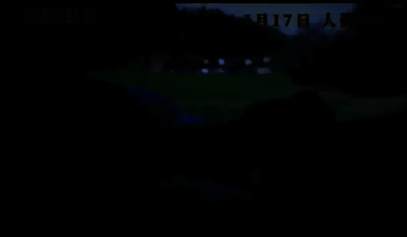 电影《狗的审判》视频截图4