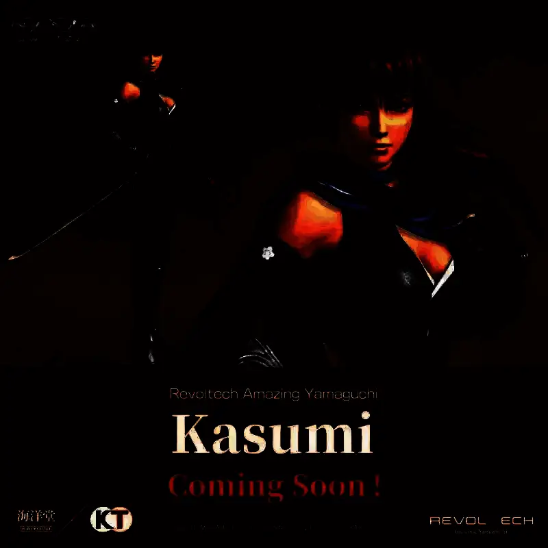 《忍者龙剑传3：刀锋边缘》隼龙和霞相关产品图片2