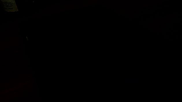 《动物森友会：口袋露营广场》相关游戏画面3