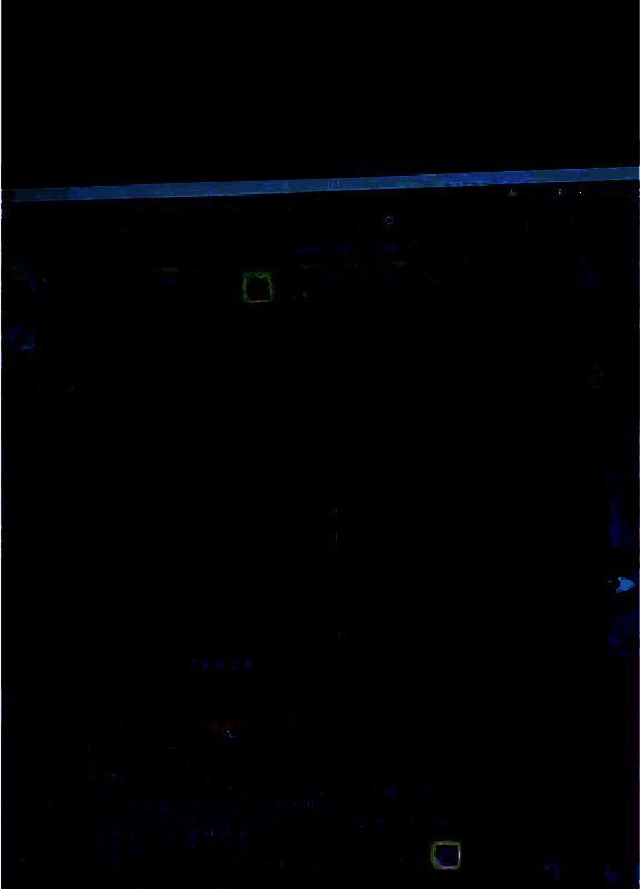 陈先生果园橙子图