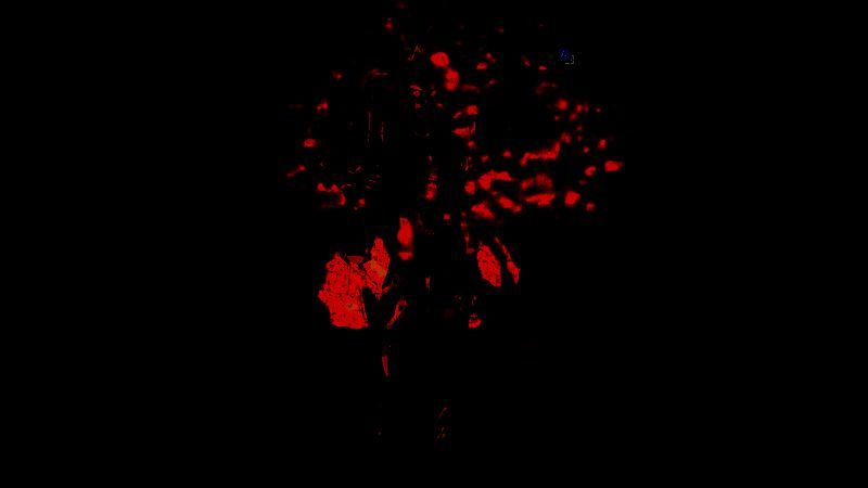 《魔兽世界：怀旧服》相关画面