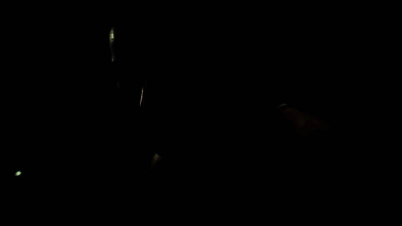 生化危机PS5版魅力呈现