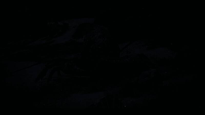 《艾尔登法环》游戏画面