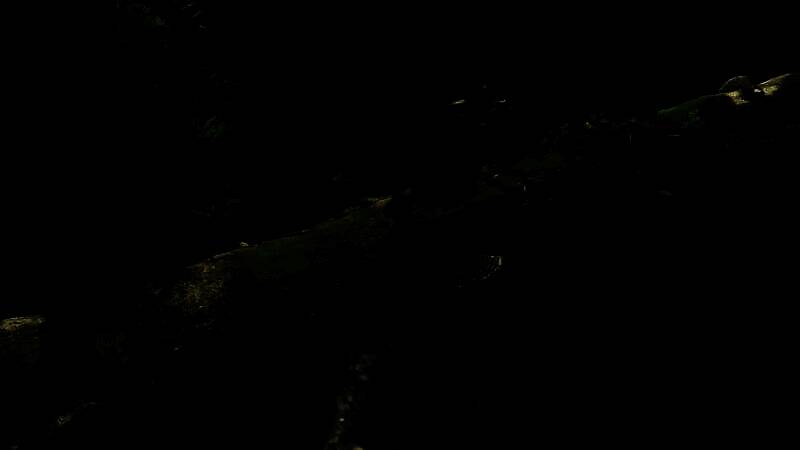 《刺客信条：影》隐藏小径游戏画面1