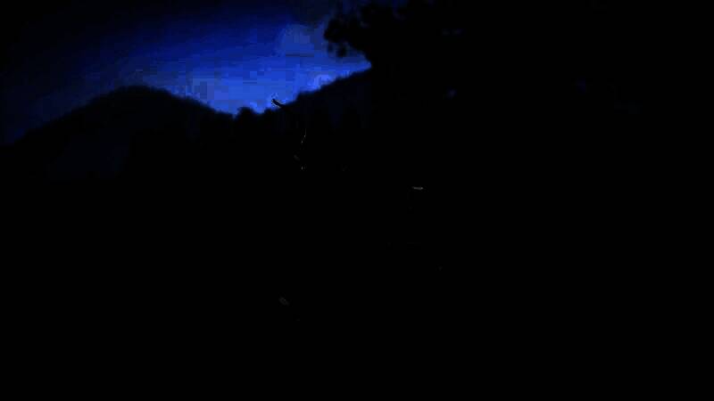 《刺客信条：影》隐藏小径游戏画面4