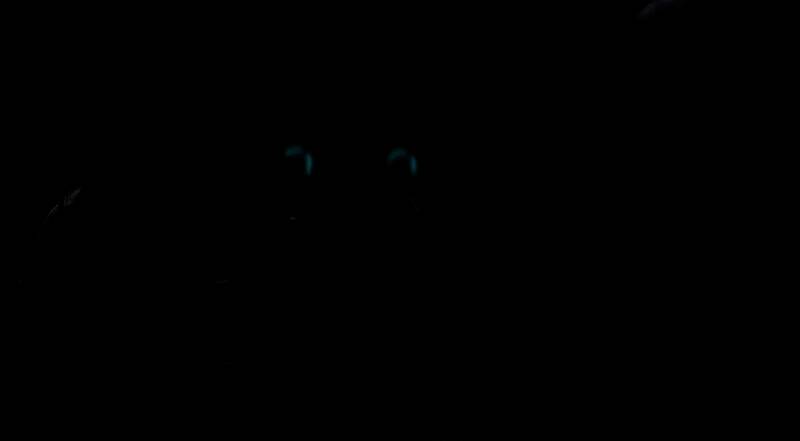 MOD修改后的女主形象4