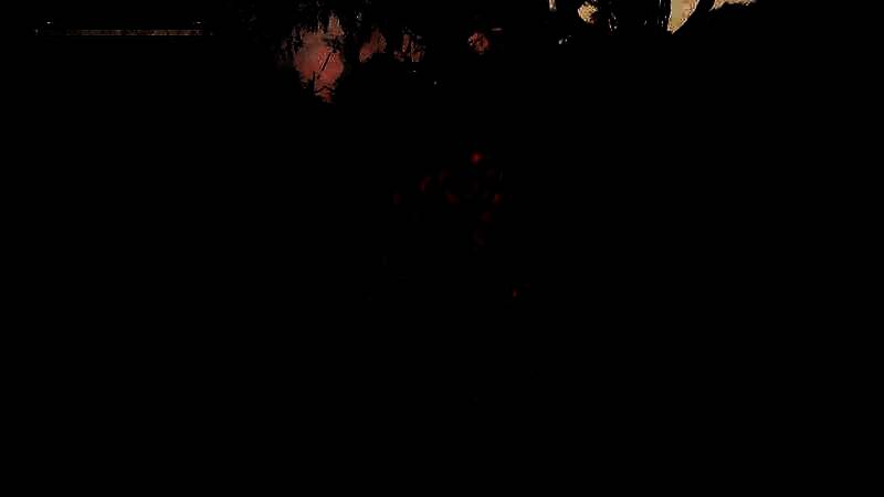 《午夜之南》游戏画面