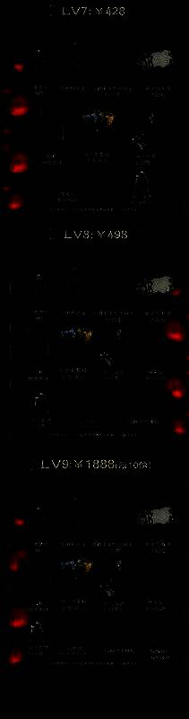 《苏丹的游戏》众筹活动图片3