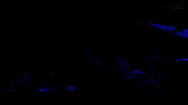 《绝区零》星见雅角色展示视频截图8