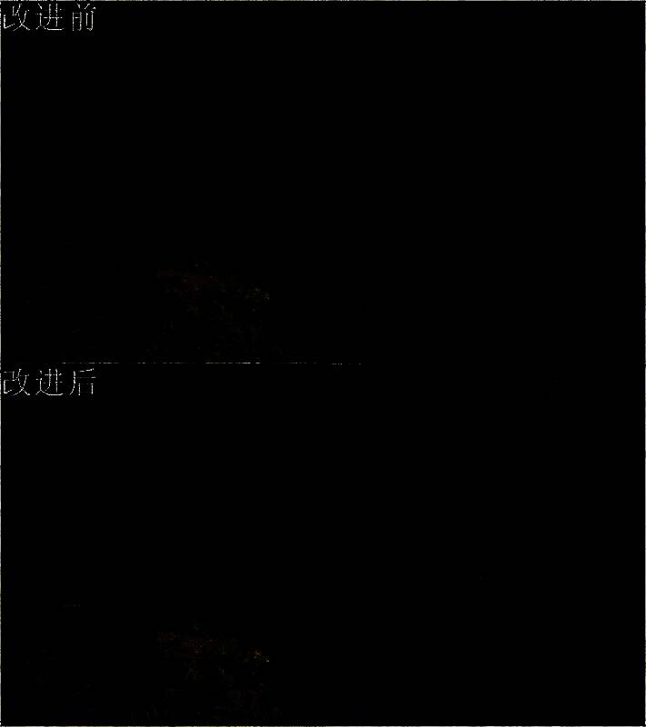 《夺宝奇兵：古老之圈》Xbox版画面