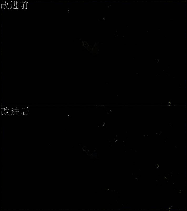 《夺宝奇兵：古老之圈》另一Xbox版画面